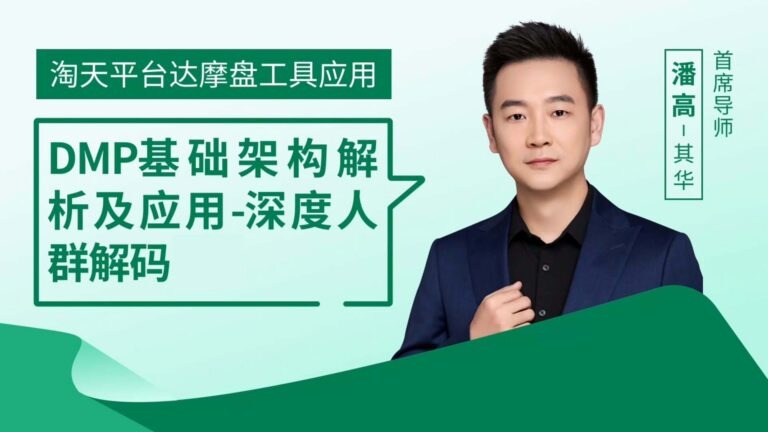 淘天平台达摩盘工具应用